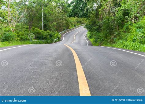 Countryside Road With Trees On Both Sides Stock Image Image Of Fresh