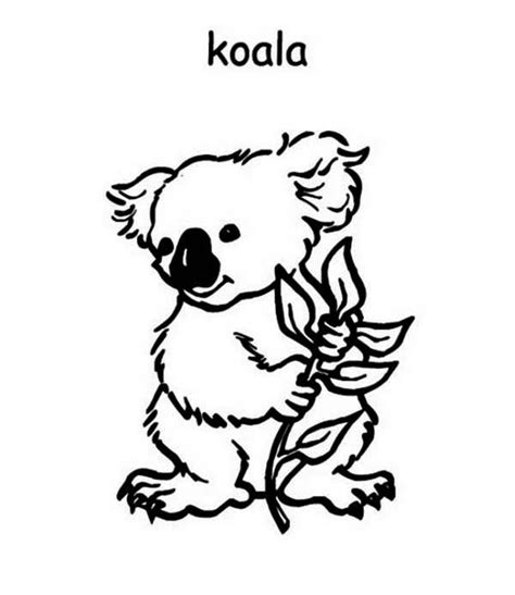 koala coloring pages easy Encouraged for you to my personal website