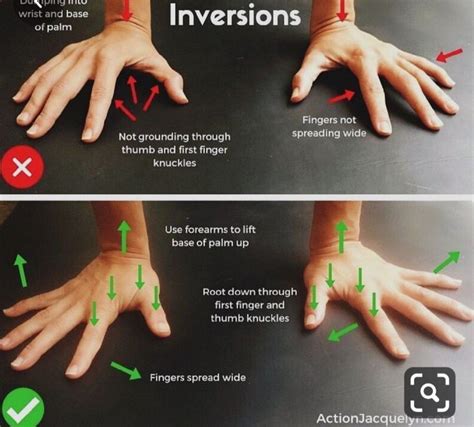 Pin By Carri Ashley On Physical Fitness Finger Knuckles First Finger
