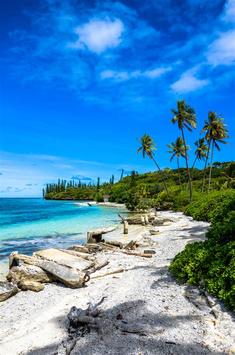 In some states, information may be limited while more providers and pharmacies update locations in the coming weeks. New Caledonia | Vaccine Hub