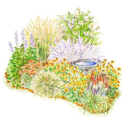 Maybe you would like to learn more about one of these? 47 best images about Plants (Zone 9) on Pinterest