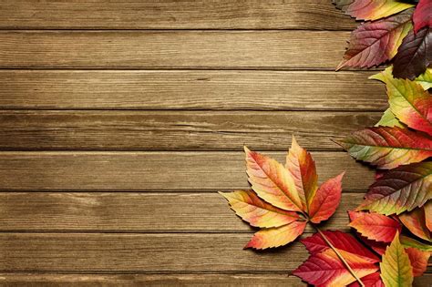 Vintage Fall Wallpapers Top Free Vintage Fall Backgrounds