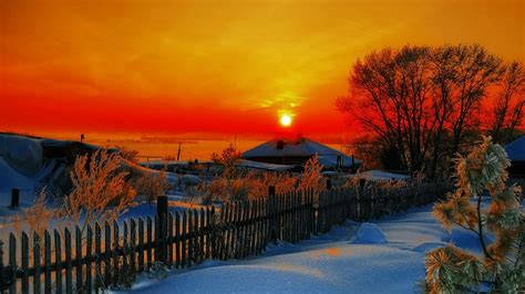 HD Nature Wallpapers, Natural, Flowers, Love, Cool ...