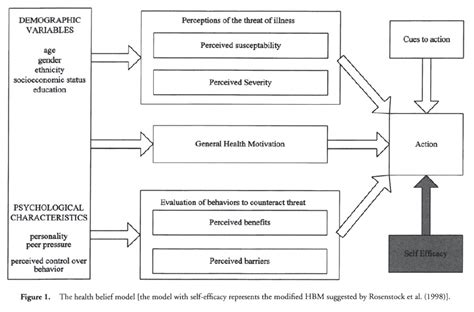 In the present study, the health belief model (hbm) was adopted as a the logistic regression analysis of the hbm demonstrated that the constructs of perceived benefits, perceived severity, and cues to action were. Health Belief Model ⋆ Health Psychology ⋆ Lifestyle
