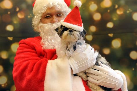 PetSmart: Free Pet Photo with Santa