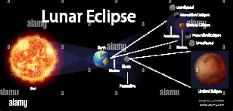 Solar Eclipse Diagram Stock Vector Images Alamy