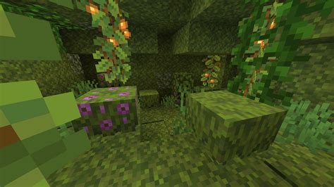 Lush Caves Lush Caves By Negg4dia On Deviantart How To Find The