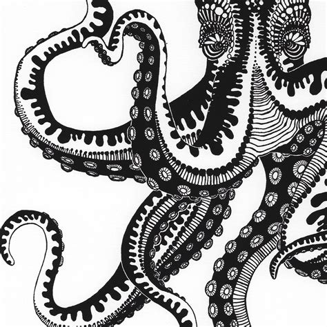 Title Octopus Hand Printed Limited Edition Of 26 From An Original Pen