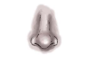 How to Draw a Female Nose - DrawingNow So there are no exact tips on how to draw a girl's nose or a nose of a child.