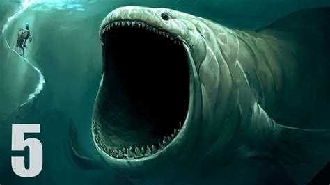 5 Most Mysterious Underwater Sounds Ever Recorded Sea Monsters Sea