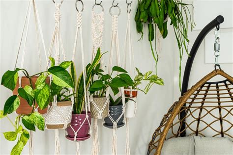 Best Outdoor Hanging Plants For Spring Hgtv