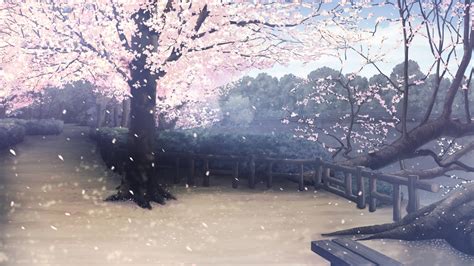 Anime Landscape Cherry Blossom Park