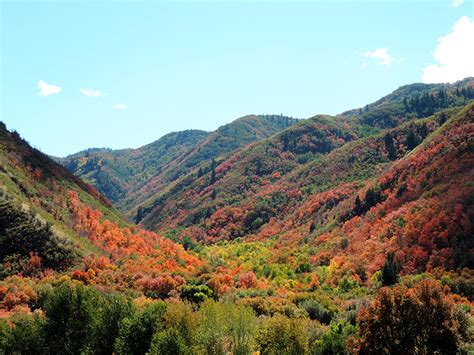 Honest reviews of every golf course in utah. Hobble Creek Golf Course