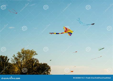 Colorful Kites Stock Photo Image Of High Flight Outdoor 60306116