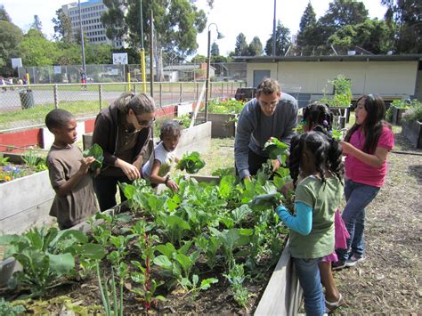 Community Gardening Transforming Urban Food Deserts Into