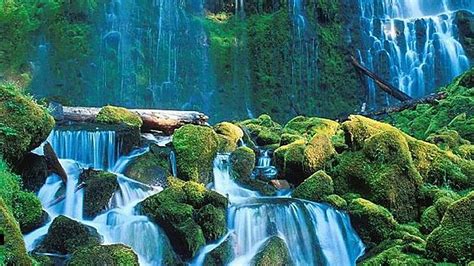 Waterfall Stream Between Algae Covered Rock In Waterfalls Background