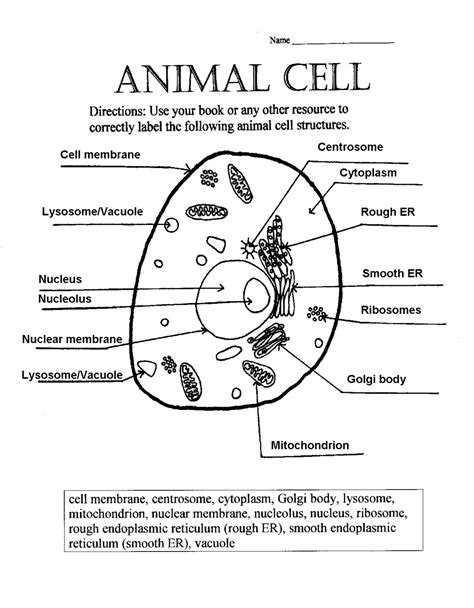 Https://tommynaija.com/worksheet/animal Cell Labeled Worksheet