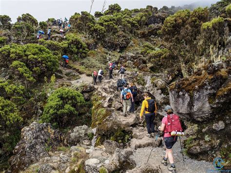 Experience The Best Kilimanjaro Climbing Tours Jelendemofest
