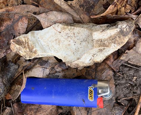 Native American Stone Tools And Points Found Together In Southeast