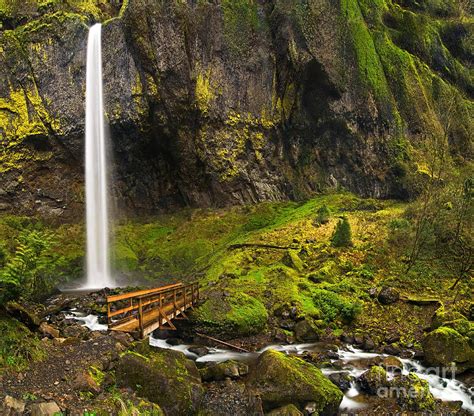 Elowah Falls Panorama Columbia River Gorge In Oregon Photograph By