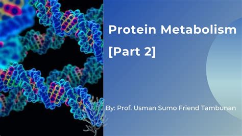 Protein Metabolism Part Ii Youtube