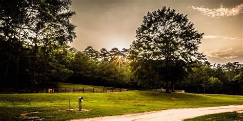 National forest in southwestern mississippi comprising 191,839 acres. Brushy Creek Ranch - Homochitto National Forest Camping ...