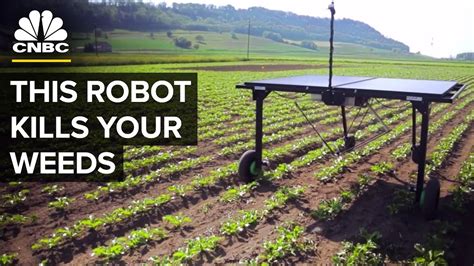 Ai Helps This Robot Reduce Herbicide Use Youtube