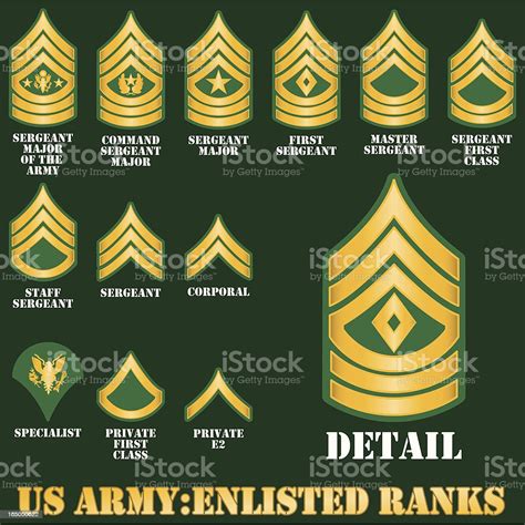 Us Army Enlisted Ranks Stock Illustration Download Image Now Istock