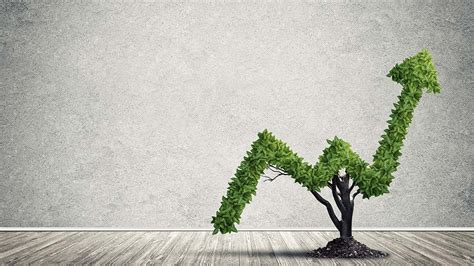 How does casting rapid growth compare to paying farmers? Everything You Need to Consider if You're Experiencing ...