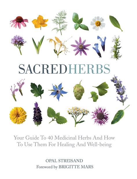 Sacred Herbs Your Guide To 40 Medicinal Herbs And How To Use Them For