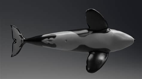 Killerwhalemodel