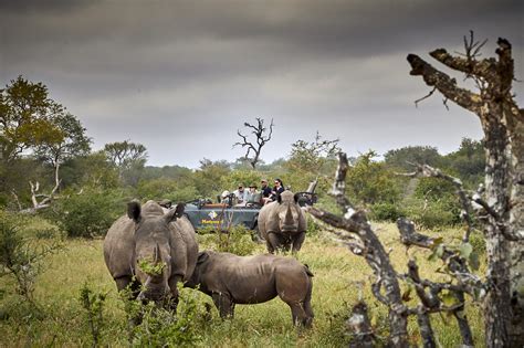 Drones, video & action cameras. Motswari Private Game Reserve, Timbavati Nature Reserve ...