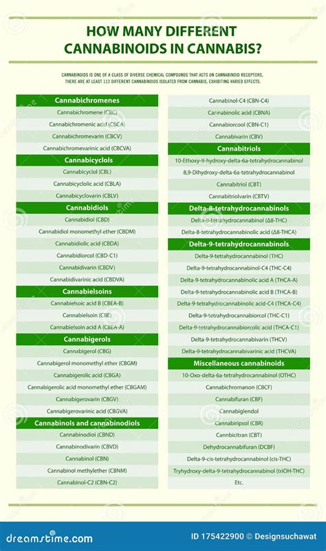 How Many Different Cannabinoids In Cannabis Vertical Infographic Stock