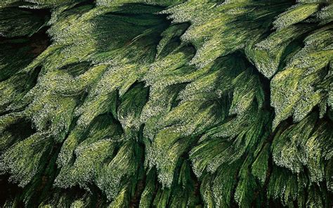 21 awesome aerial photographs of earth. anthony luke's not-just-another-photoblog Blog: Earth From ...
