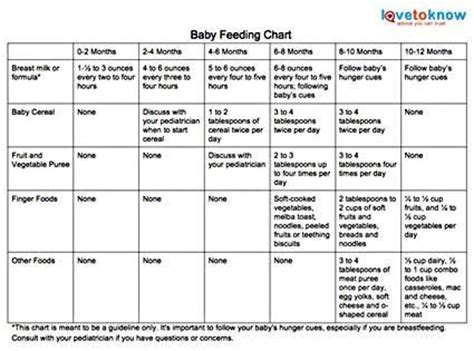 What should my baby drink? how much should your baby eat | Best Tips to Feed babies ...