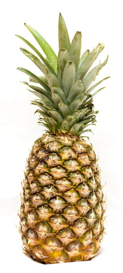 Huge Juicy And Ripe Pineapple Is A Great Food Product Stock Image Image Of Green Juicy 123376629