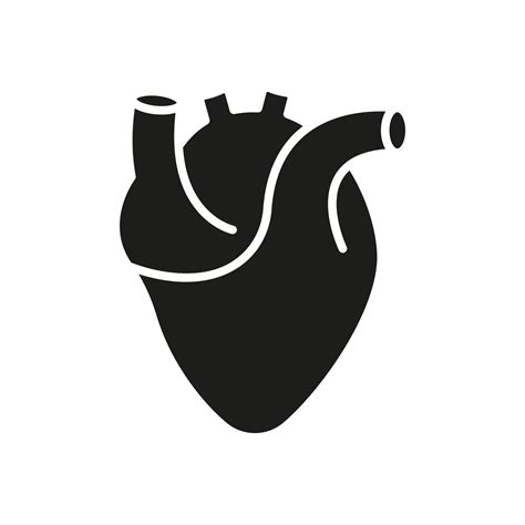 Human Heart Silhouette Icon Anatomy Of Healthy Cardiovascular Organ