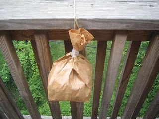 First, installing fake wasp nests in the first is nbs which uses essential plant oils as its active. 8 Genius Ways to Keep Bugs Away When Having a Cookout | Of ...