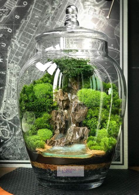 25 Idées De Transformer Un Vase En Aquarium Aquarium Aquarium