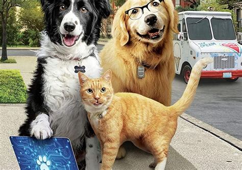 Filme online cats and dogs. Cats And Dogs is now a trilogy, trailer for third film ...