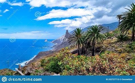 Anaga Palm Trees With A Panoramic View On Roque De Las Animas Crag In
