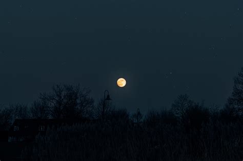 Wallpaper Moon Full Moon Starry Sky Night Darkness Silhouettes Hd