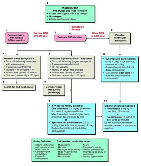 Pals Algorithm Cheat Sheet How To Pass The Pediatric Advanced Life