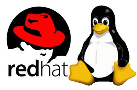 Red Hat Spruces Up 2011s Enterprise Linux With Rhel 66 Beta • The