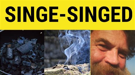 🔵 Singe Meaning Singed Definition Singe Examples Singe Singed