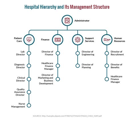 What Is The Hierarchy In Hospitals