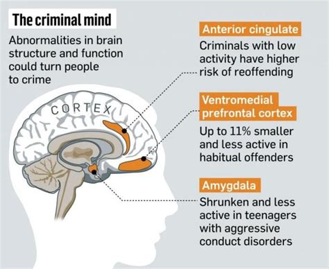 Pin On Criminal Psychology