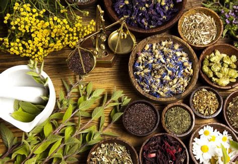 Neem oil is one of the most effective hair growth oils. The Best Ayurvedic Powders for Natural Hair Growth | 4C ...