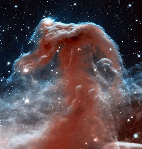 Horsehead Nebula Hubble Space Telescope Infrared Image Hubble Space
