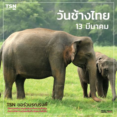 Thanksin shinawatra, thai politician and businessman who served as prime minister of thailand from 2001 to 2006. วิทยาลัยเทคโนโลยีทักษิณาบริหารธุรกิจ - Posts | Facebook